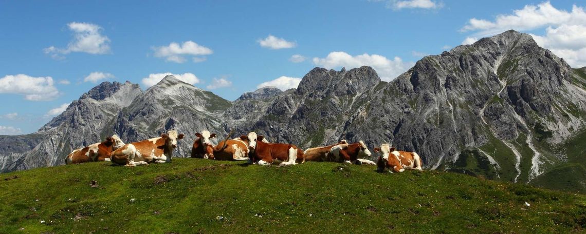 Berglandschaft Im Grossarltal Hotel Sonnhof