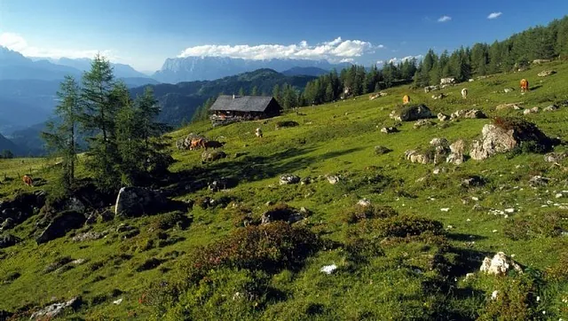 Geführtes Wandern in Großarl